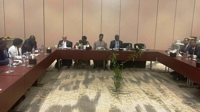 AU panel meets Democratic Bloc in Cairo on March 6 2024