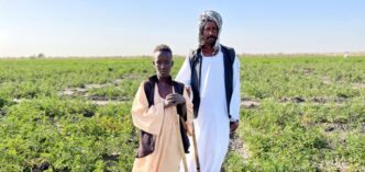 Food crisis in the Sudan deepens with 20.3 million people facing acute food insecurity FAO photo