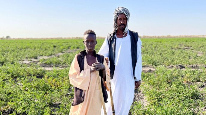 Food crisis in the Sudan deepens with 20.3 million people facing acute food insecurity FAO photo